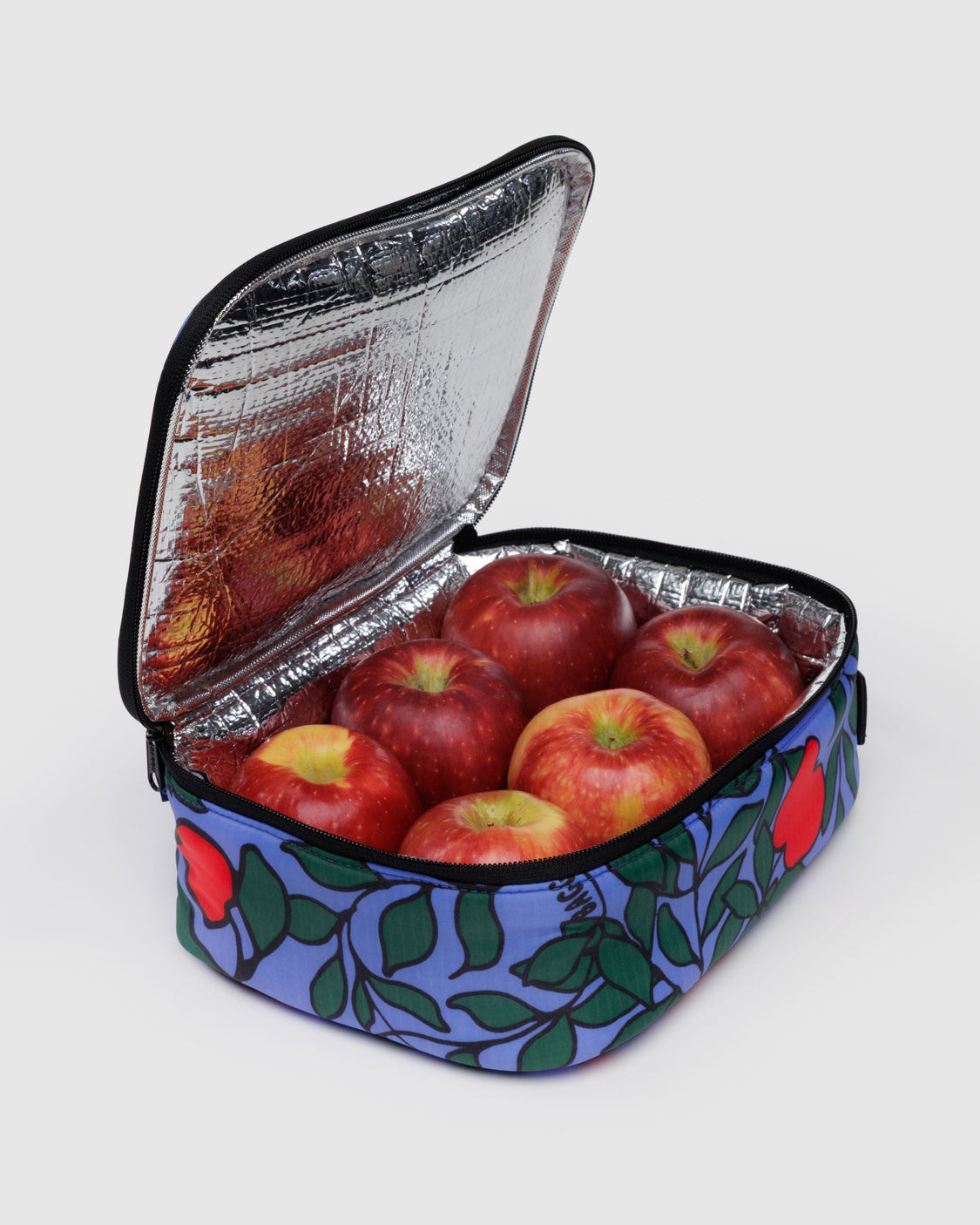 Lunch Box - Apple Tree - Pocket Travel Storage